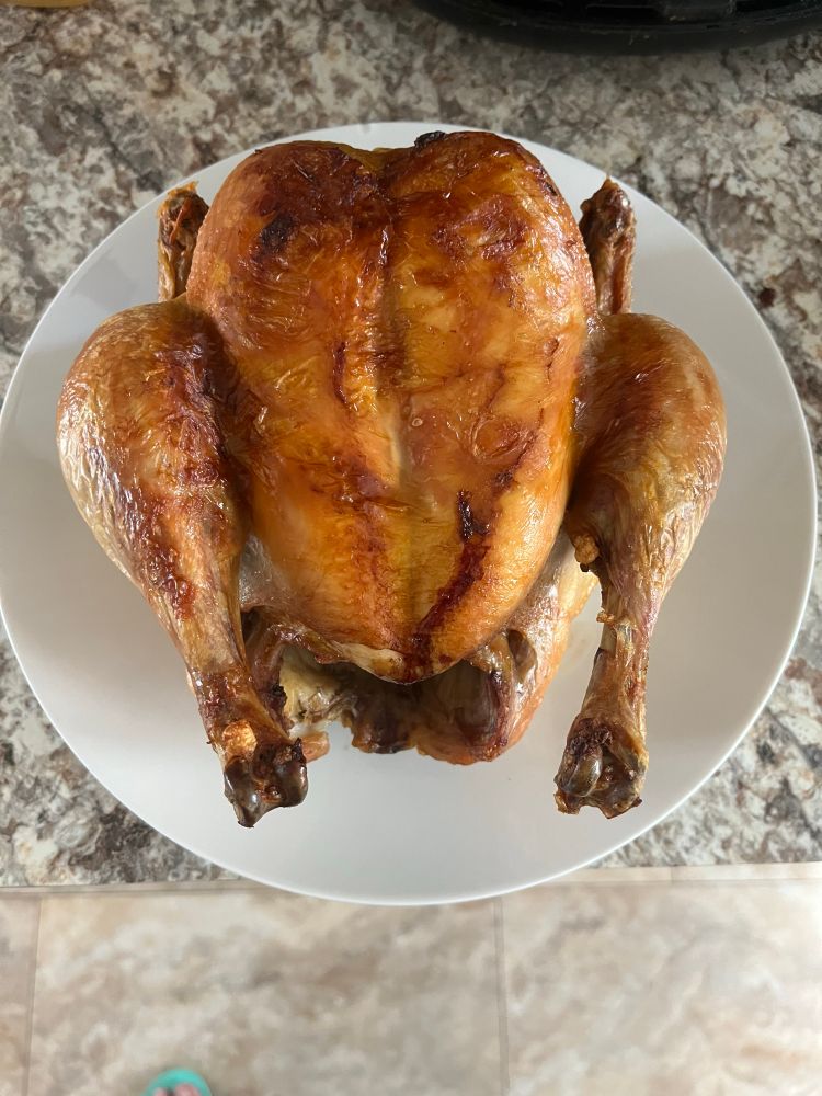 A perfectly roasted chicken, golden brown and lovely on a white plate.
