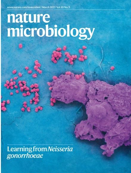A false-coloured micrograph showing Nisseria gonorrhoeae and neutrophils