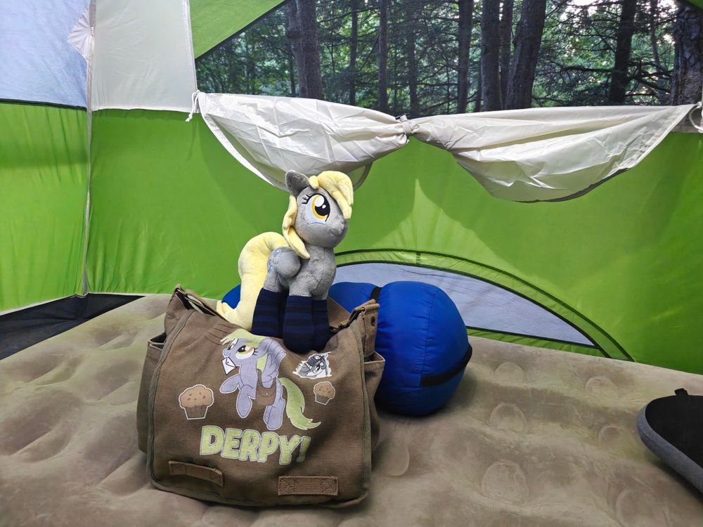 View inside of a tent with woods outside. A plush Derpy stands atop a canvas bag with her name and image printed on it.