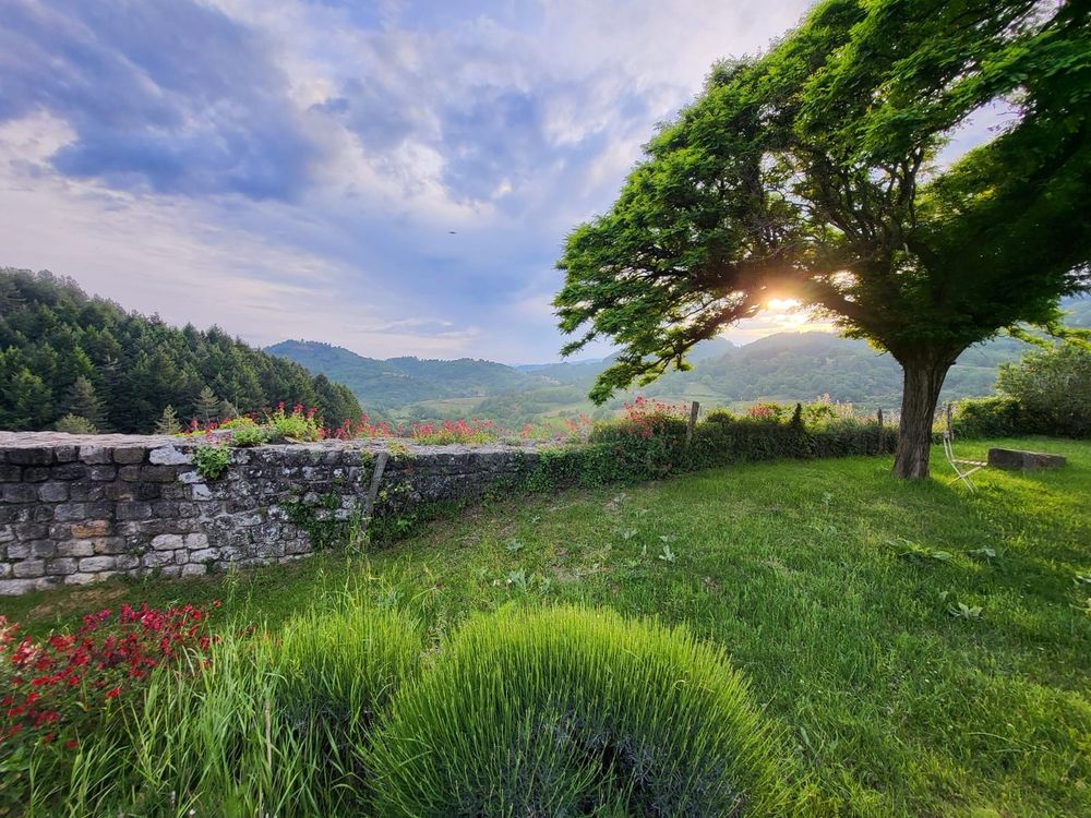The sun sets behind a tree which stands in front of a low grey stone wall. The sky is a soft purple-blue and there are hills in the distance. The foreground is lush green grass, round green bushes and there are a smattering of red poppies in the grass and on the wall. 