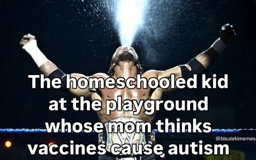 Triple H who is a wrestler who sucks with the words “The homeschooled kid at the playground whose mom thinks vaccines cause autism” super imposed over him courtesy of something called @bisutekimemes
