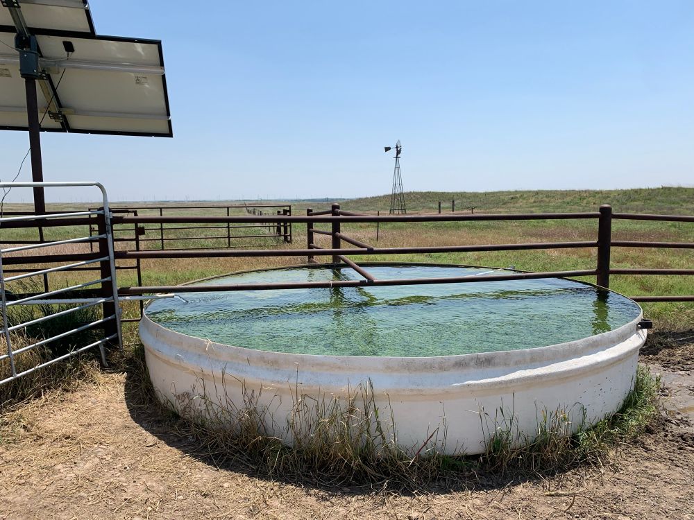 Solar well and water tank for livestock. Old windmill in the distance.