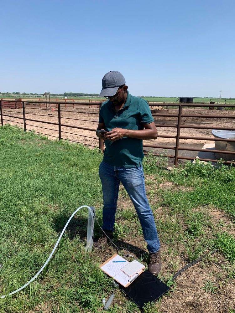 Student recording data in front of a livestock pen