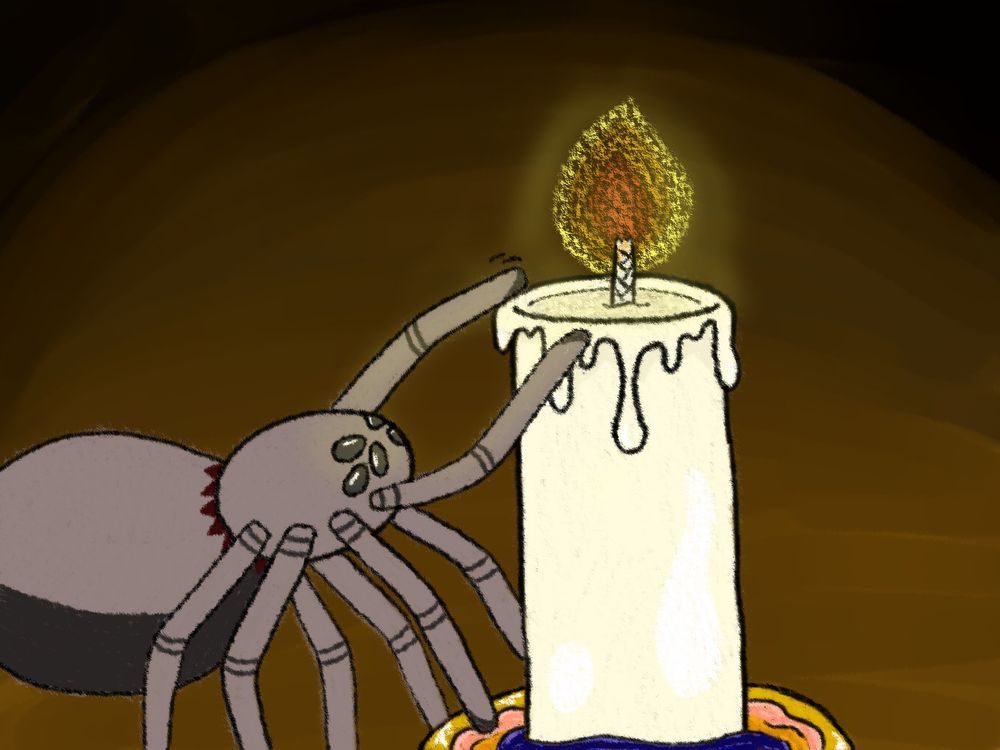 A spider reaching out to touch the light of a candle