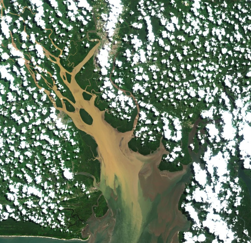 A satellite image. The combined estuary of two rivers is visible in the middle of the image where there are few clouds. Most of the rest of the image is cloudy. Sediment in one river is light tan, in the other it is dark brown. A relatively sharp boundary between the two sediment colors is in the middle of the estuary. A beach along the Atlantic Coast is visible on the left.