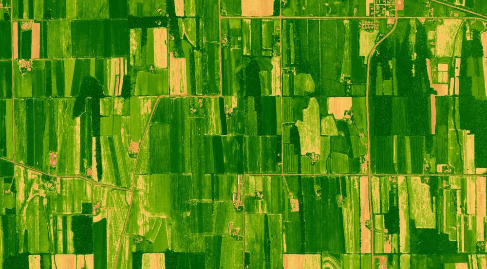 Agricultural land with many long narrow fields shaded various colors from green to yellow, indicating the normalized difference vegetation index of vegetation greenness. Fields are oriented north-south parallel to drumlins and ice sheet flow direction.