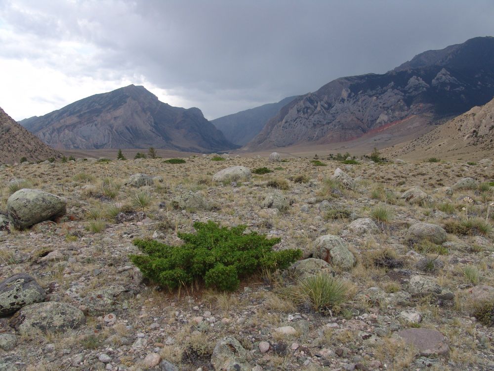 View looking across a bouldery moraine with little vegetation cover towards a canyon mouth in mountains . The sky partly dark and cloudy.