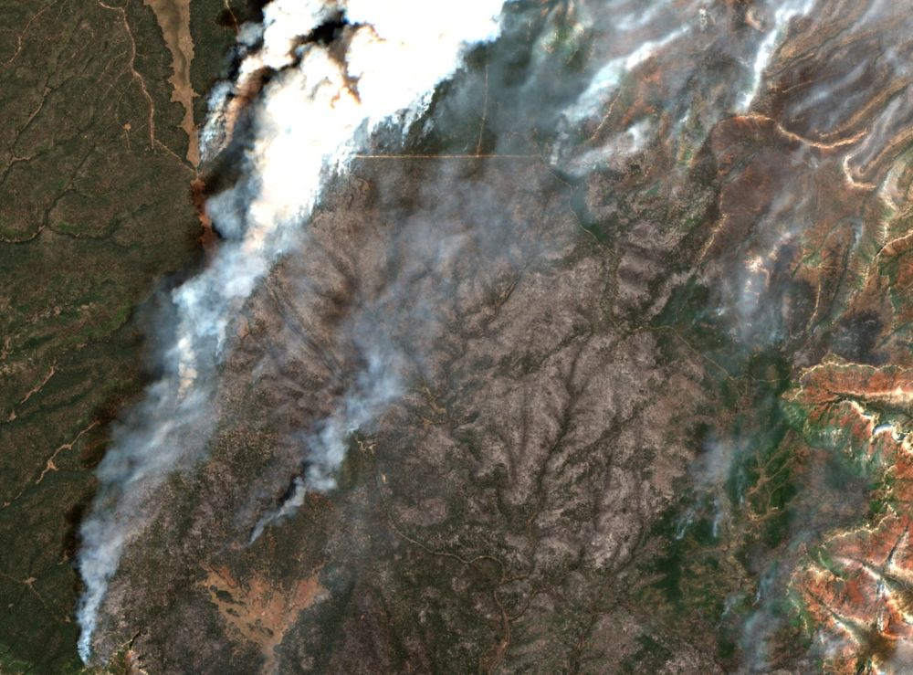 Close up of the North Rim, with dark unburned forest on the west edge of the image. To the east are plumes of smoke and gray burned areas.