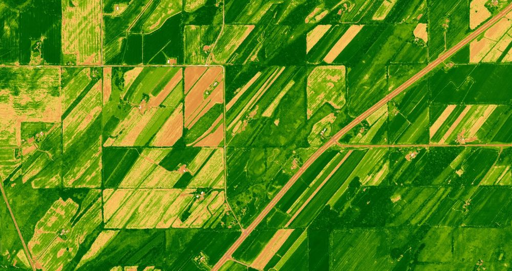 Agricultural land with many long narrow fields shaded various colors from green to yellow, indicating the normalized difference vegetation index of vegetation greenness. Fields are oriented northeast-southwest parallel to drumlins and ice sheet flow direction.