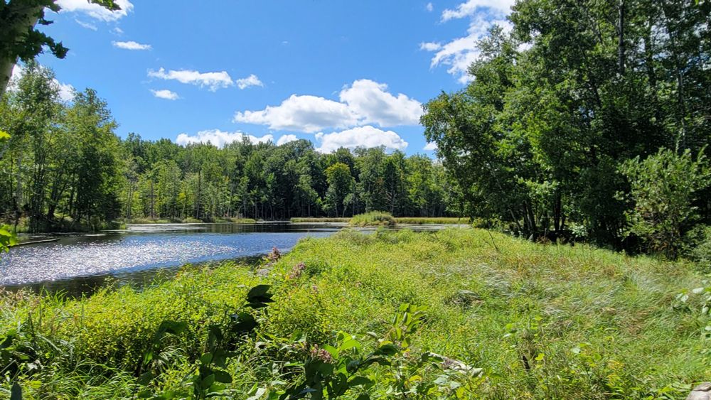 Photo of a small lake as see across the beaver dam at its outlet. The dam drops away toward the right side of the photo; the steep valley below that is not visible.
