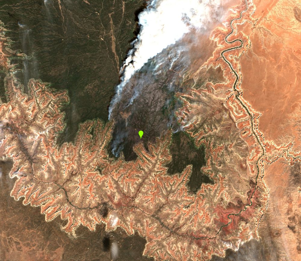 Satellite image of part of the Grand Canyon and a forest fire on the North Rim. The horizontal rock strata exposed on the canyon walls are visible to the south, with the dark colored conifer forest of the North Rim to the north. Plumes of smoke are moving northeast from a fire in the forest, and coalescing downwind.