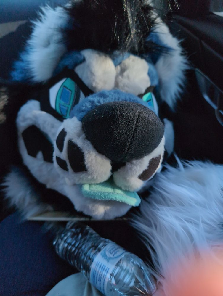 full photo of koda with a water bottle under him