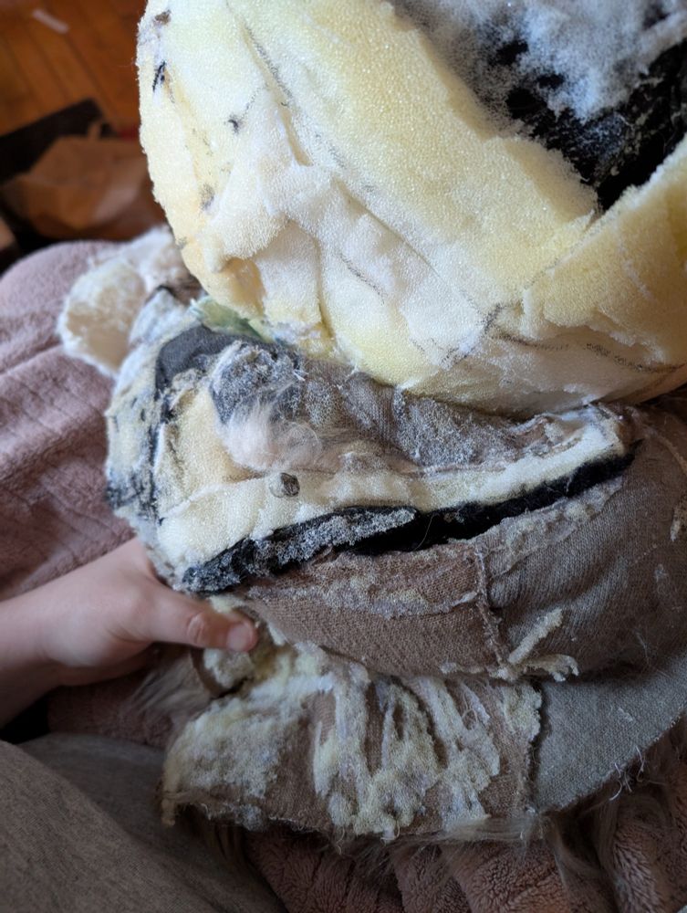 pulling off the fur on the suit showing how oddly it was put together. 