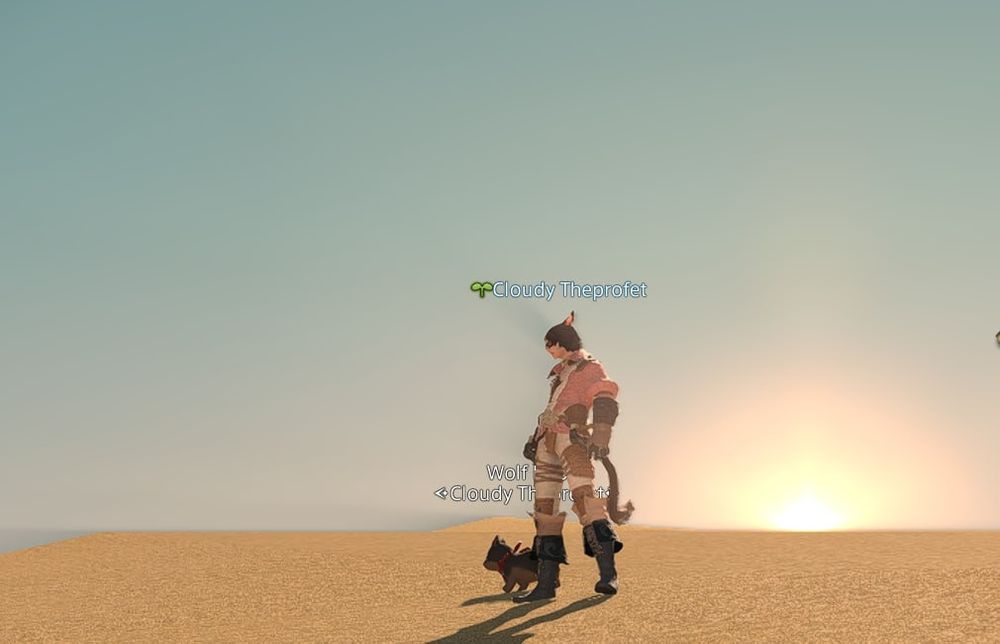 Mi PJ del final fantasy con su gatito