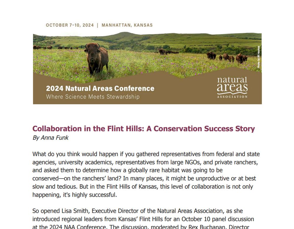Screenshot of the story featured at the link in the post.