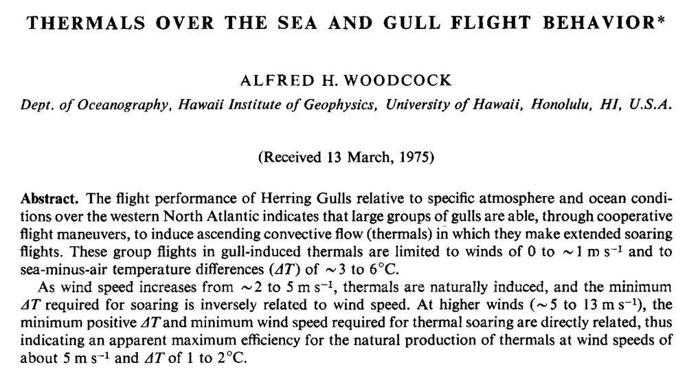 Thermals over the sea and gull flight behavior, Alfred H. Woodcock

The flight performance of Herring Gulls relative to specific atmosphere and ocean conditions over the western North Atlantic indicates that large groups of gulls are able, through cooperative flight maneuvers, to induce ascending convective flow (thermals) in which they make extended soaring flights. These group flights in gull-induced thermals are limited to winds of 0 to ~ 1 m s−1 and to sea-minus-air temperature differences (δT) of ~3 to 6‡C.

As wind speed increases from ~ 2 to 5 m s−1, thermals are naturally induced, and the minimum δT required for soaring is inversely related to wind speed. At higher winds (~5 to 13 ms−1), the minimum positive δT and minimum wind speed required for thermal soaring are directly related, thus indicating an apparent maximum efficiency for the natural production of thermals at wind speeds of about 5 m s−1 and δT of 1 to 2 ‡C.