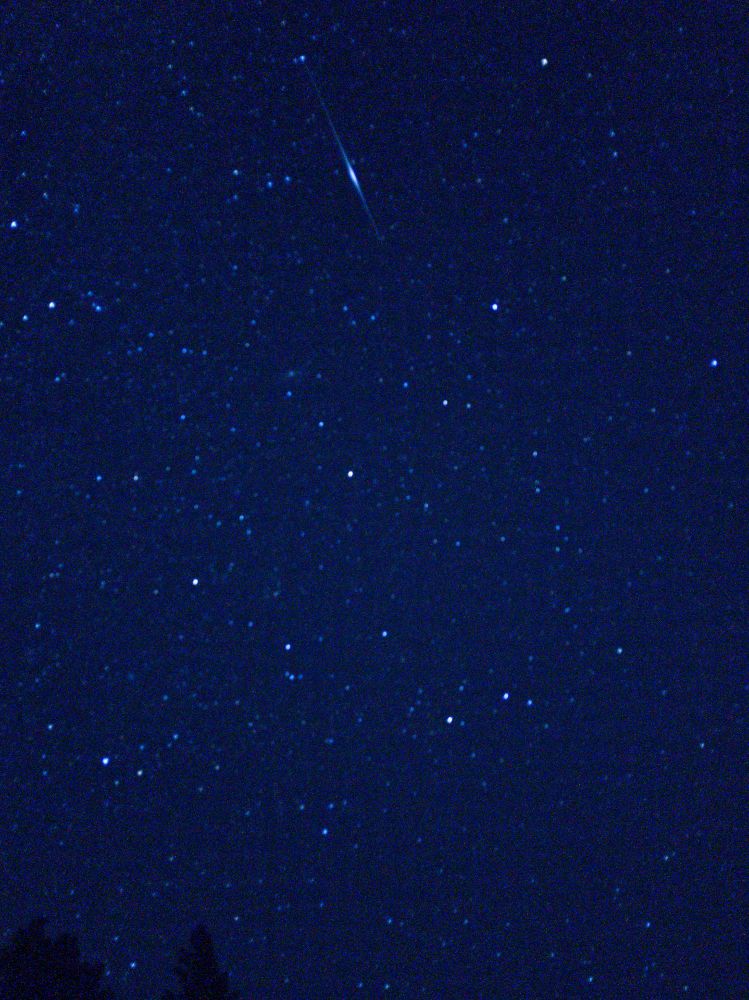 A phone camera photo of a starry night sky. Small points of light all over the image. But at the top is a bright streak! A meteor! The background looks dark blue because of the camera settings.