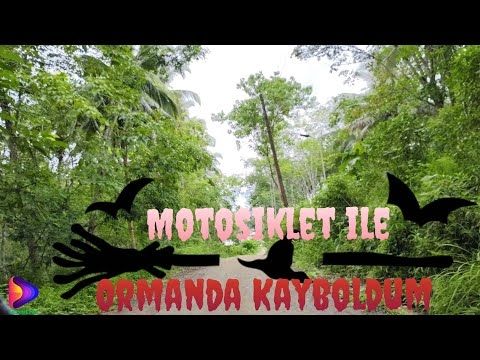 Motosiklet ile Ormanda Kayboldum 