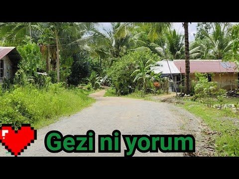 Gezi ni yorum