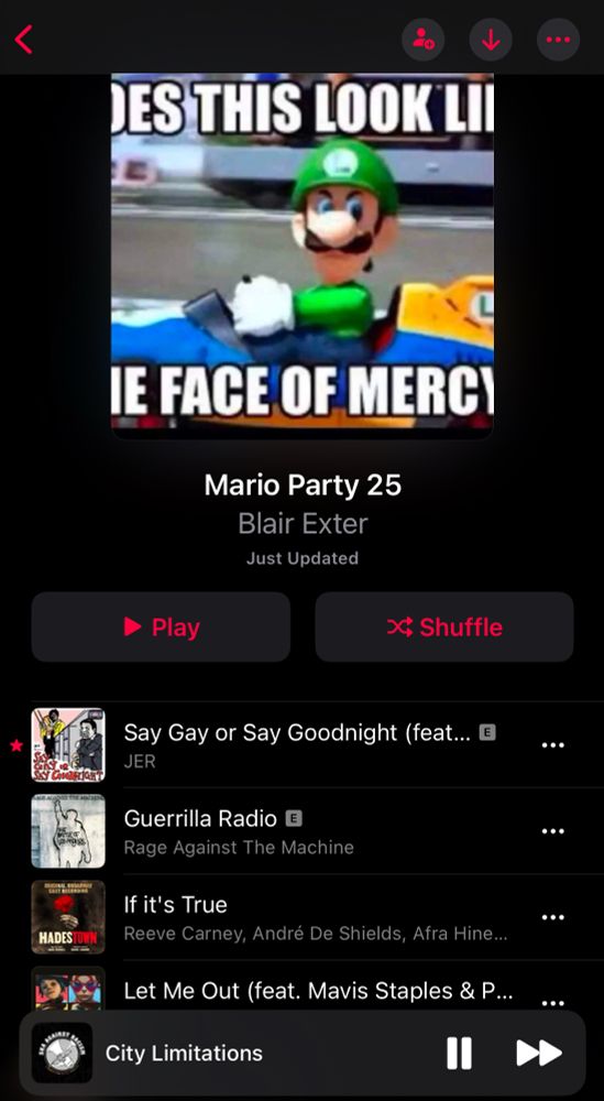 A screenshot of a playlist called “Mario Party 25” with an image of Luigi from Mario Kart making an angry face. The playlist contains songs from Jer, Rage Against The Machine, Hadestown, Gorillaz, and more. It currently is playing a song from the Ska Against Racism compilation.