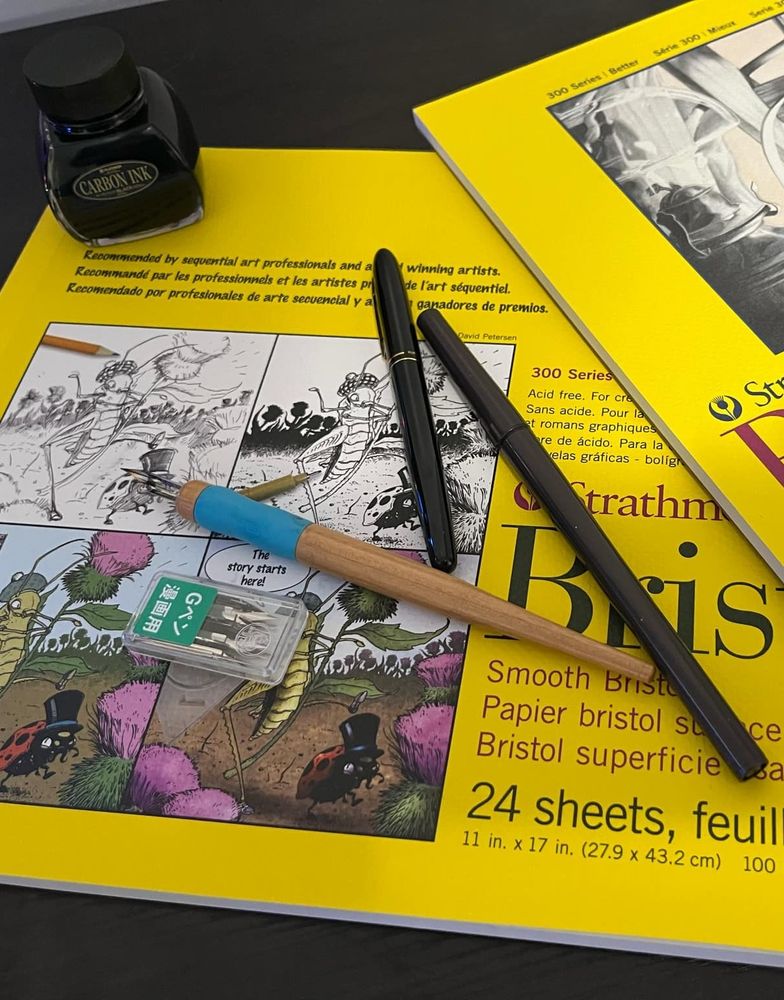 Art supplies. Strathmore Bristol Board. Platinum Carbon Black ink. Kurutake brush pens and Tachikawa quill