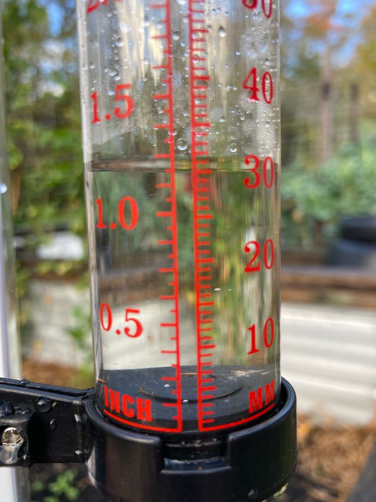 30mm rainfall in total. Measured at approximately 8:30am ADT in Concession NS