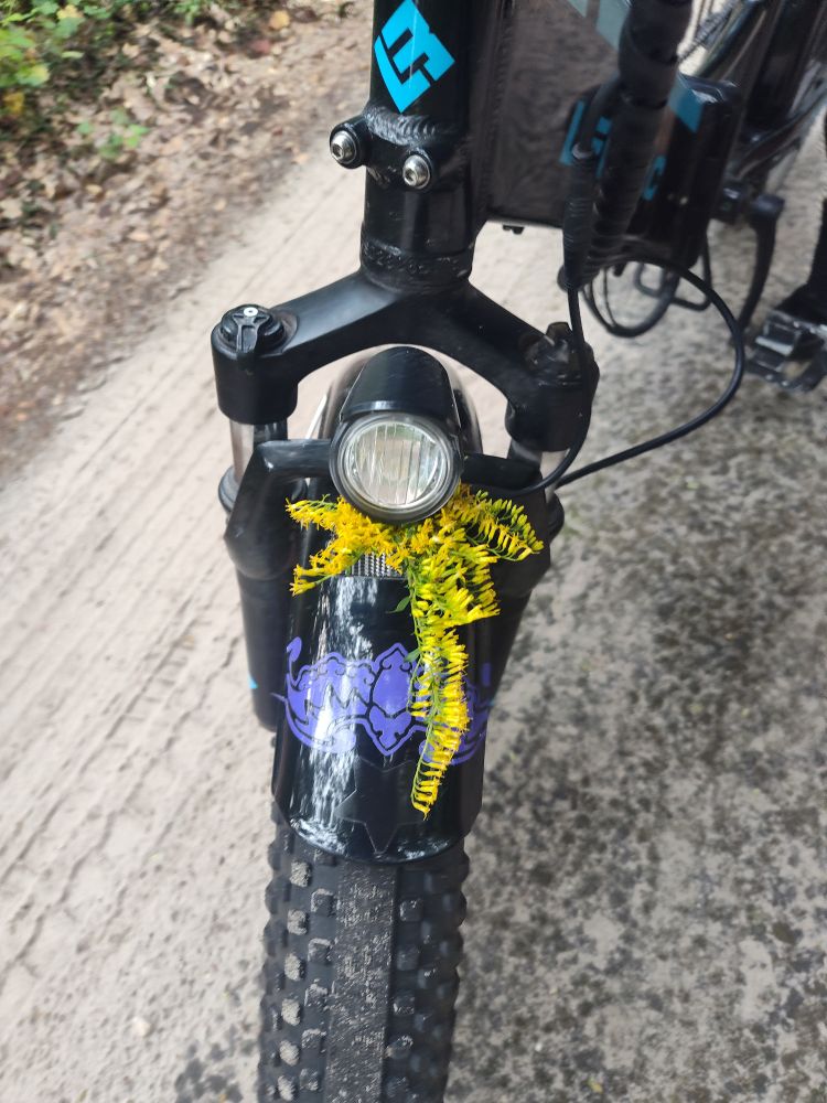 Front of a bike with a yellow flower 
