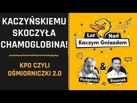 KACZYŃSKIEMU SKOCZYŁA CHAMOGLOBINA! NIE LEKCEWAŻCIE KPO. TO OŚMIORNICZKI 2.0