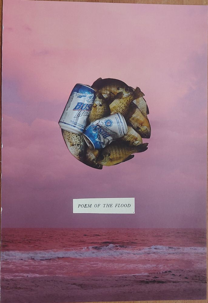 a pink and red hued picture of a beach, the ocean and the cloudy sky. in the middle is an orb of caught fish and 2 bush light cans. between the orb and the horizon line is a piece from a book with the title "Poem of the Flood"