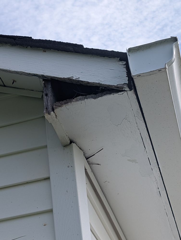 Eave on the side of a small white cottage. One triangular crevice is open and inside are all kinds of little sticks and such.