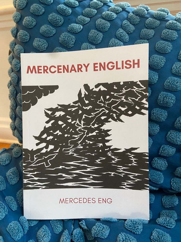 Mercedes Eng’s Mercenary English on a blue pillow 