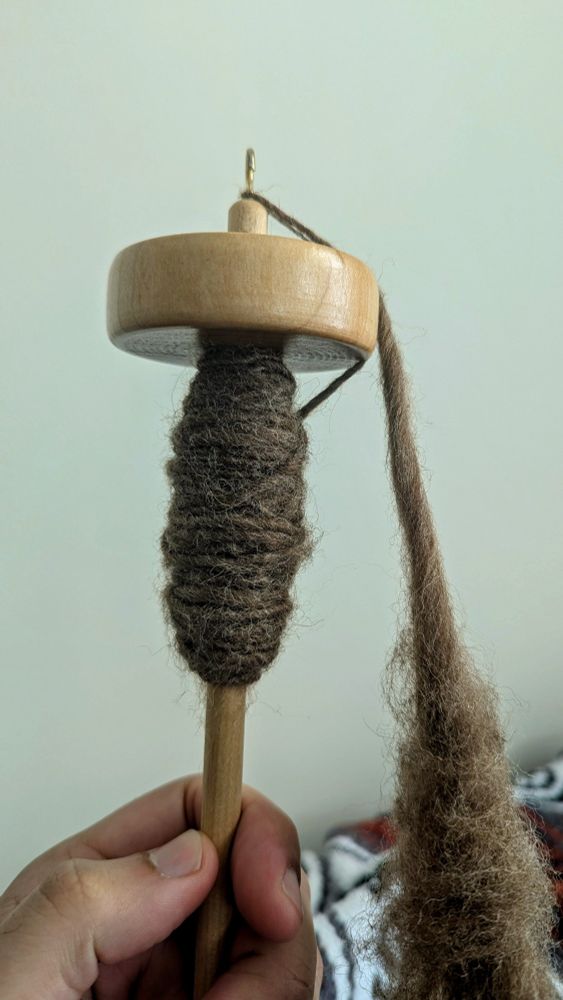 Photo of brown BFL wool spun into a drop spindle.