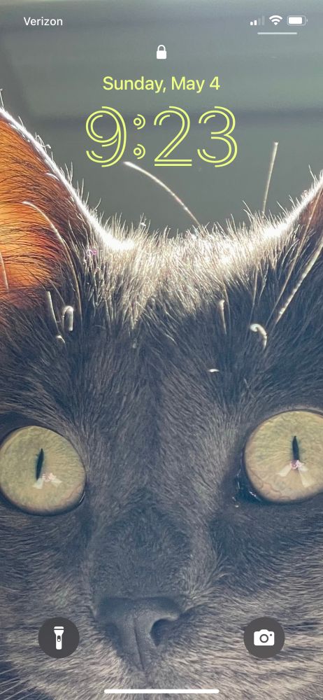 Eye-width extreme closeup of Russian blue cat’s face, with incredibly narrow pupils to showcase the beauty of her green irises to maximum effect. Backlighting is bright daylight, which makes the hairs on top of her head a radiant halo and her ears glow translucent red; time font is the funky one with multiple line strokes, and in a color that nearly matches the cat’s eyes 