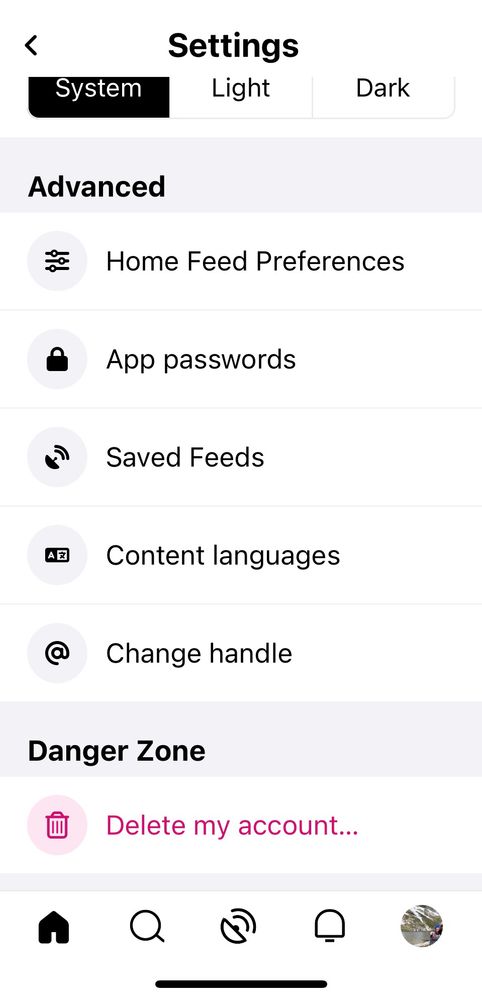 Settings page with Advanced Settings options: home feed preferences, App passwords, saved feeds, content language, change handle, down to “Danger zone” with delete my account.