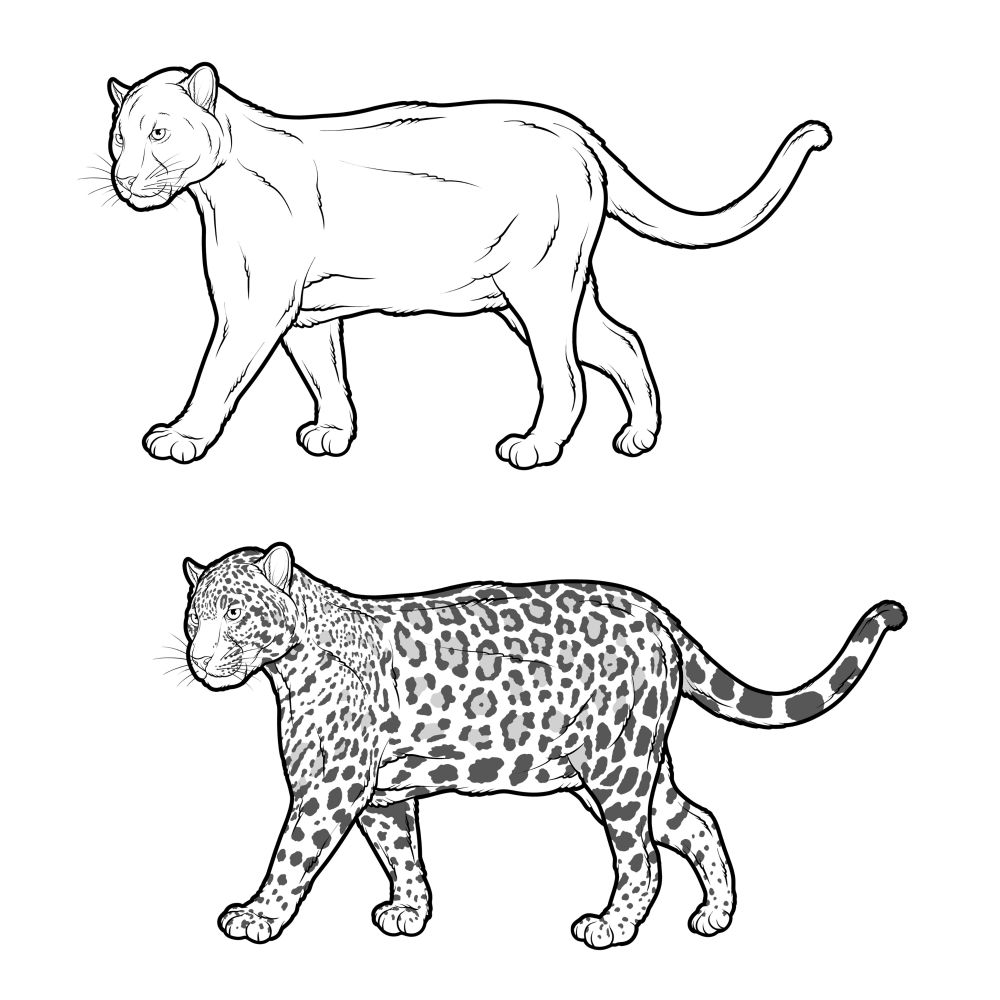 The image shows two jaguars. The jaguar above is without spots whereas the jaguar below have spots. The presence of spots in this species makes a great difference, like a tattooed person would feel without their tattoos.