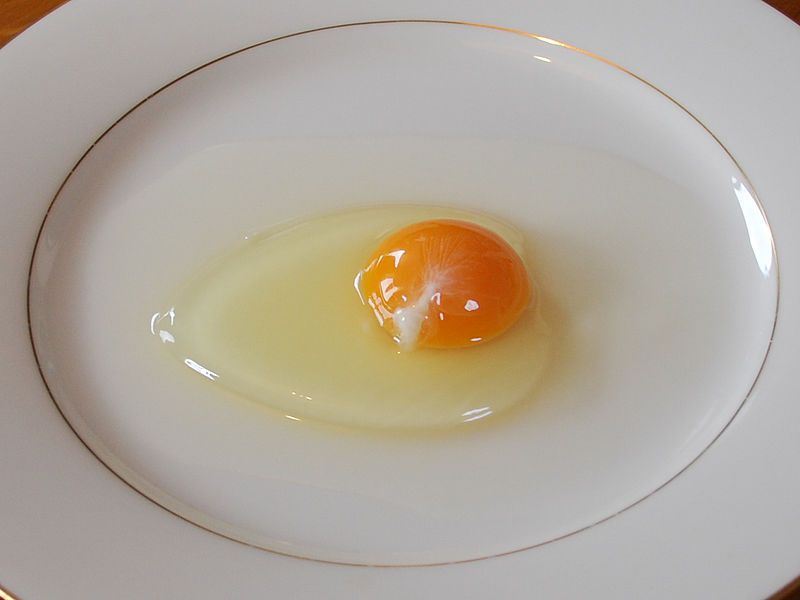 An uncooked egg on a glass plate, with a clear yolk, the uncooked translucent egg white, and some stringy white stuff on the yolk