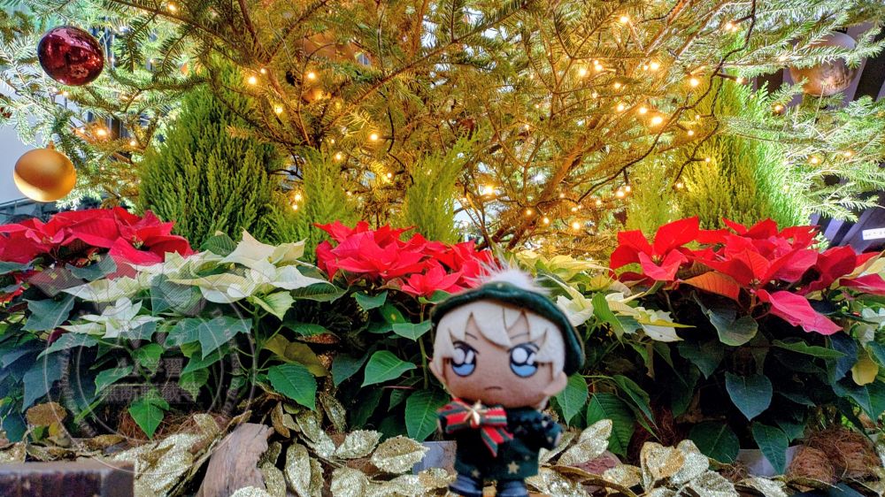 しぃな家のぬい