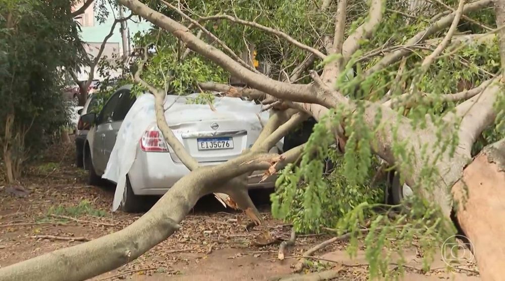 Temporal com ventos de 100 km/h causa mortes e deixa mais de 1,45 milhão sem energia em São Paulo