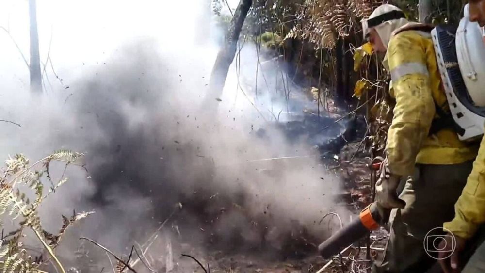 Ambientalistas sobrevoam área atingida pelo fogo na Chapada dos Veadeiros