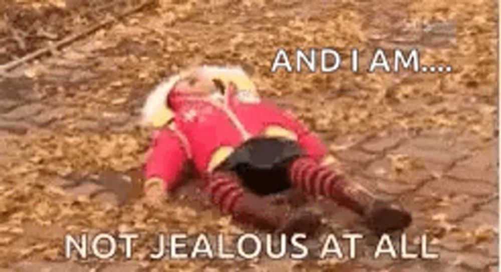 a stuffed animal is laying on the ground with the words `` and i am ... not jealous at all '' .