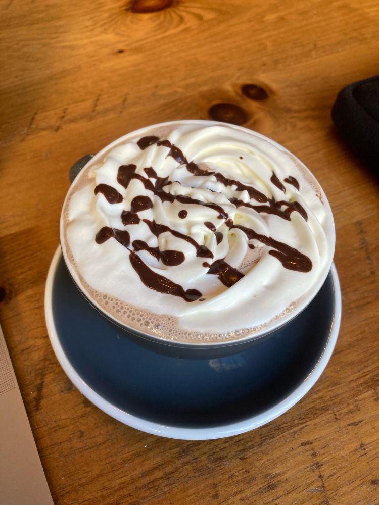 A hot chocolate with whipped cream.