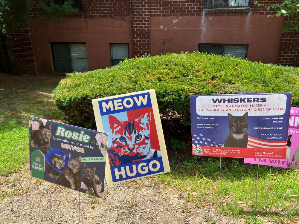 Signs for Rosie, Hugo, and Whiskers.