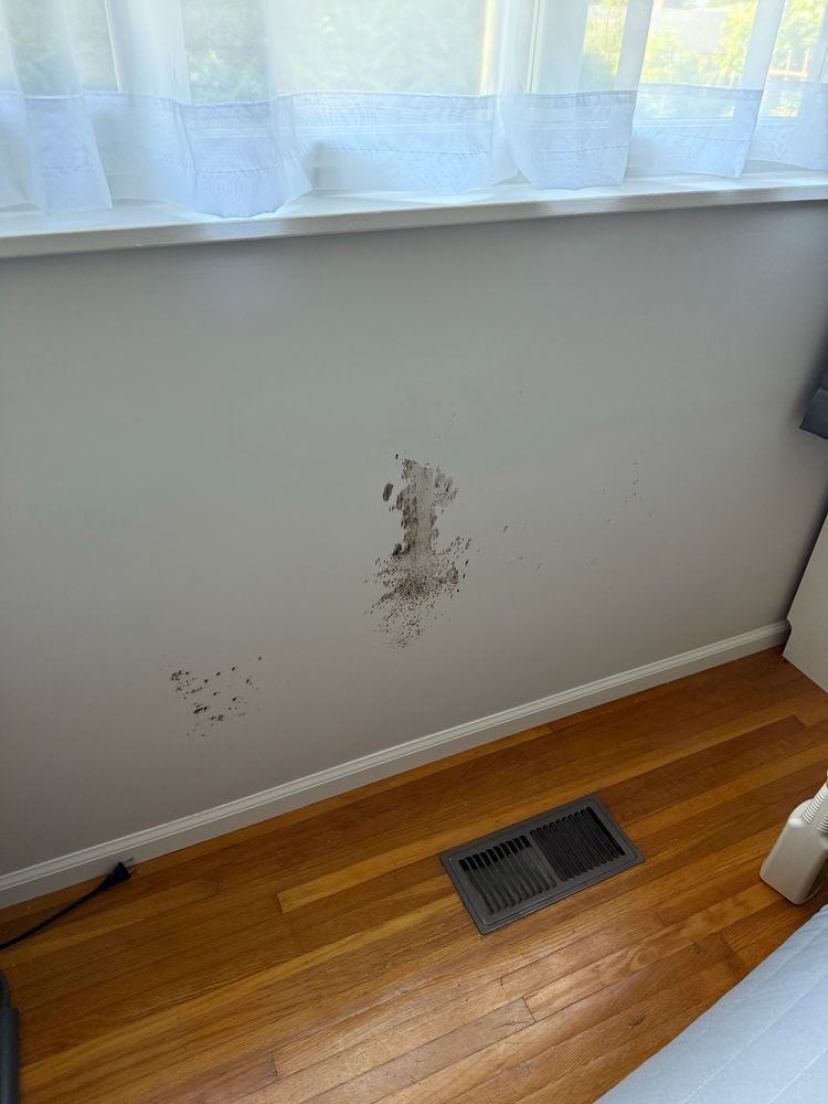 Mold on a wall making me crazy 