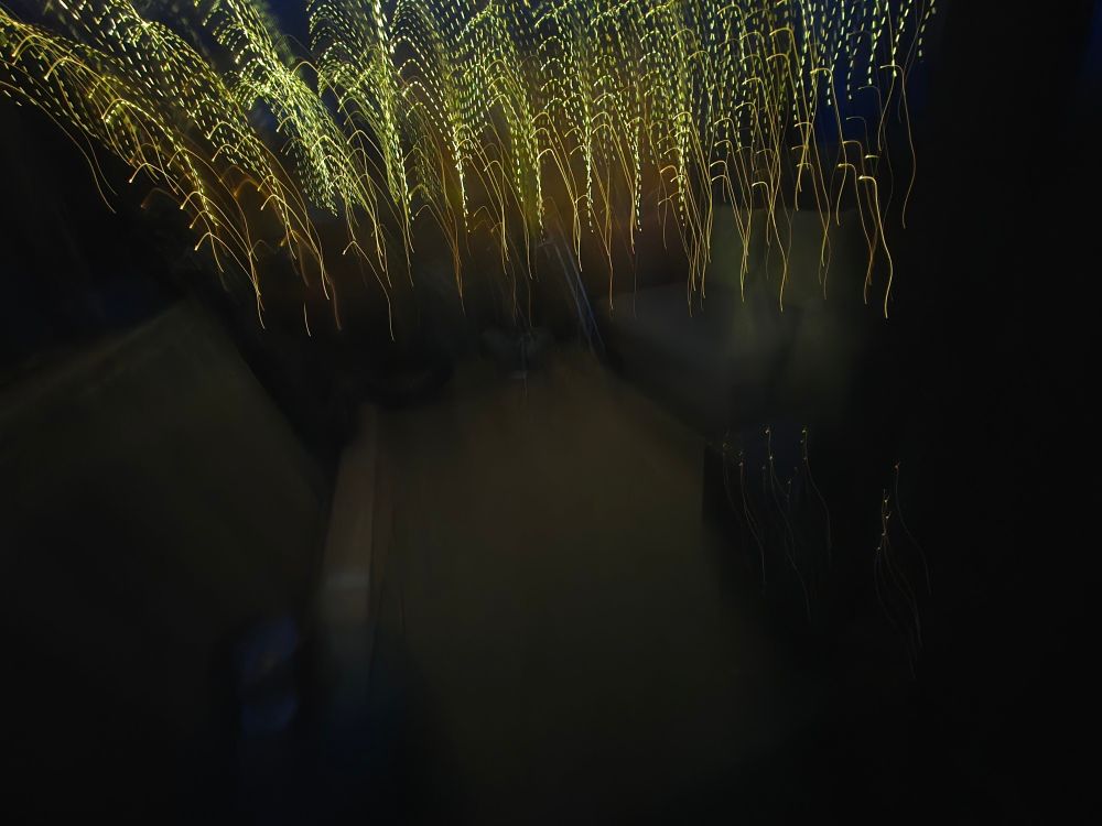 A mis-timed photo of some fairy lights.