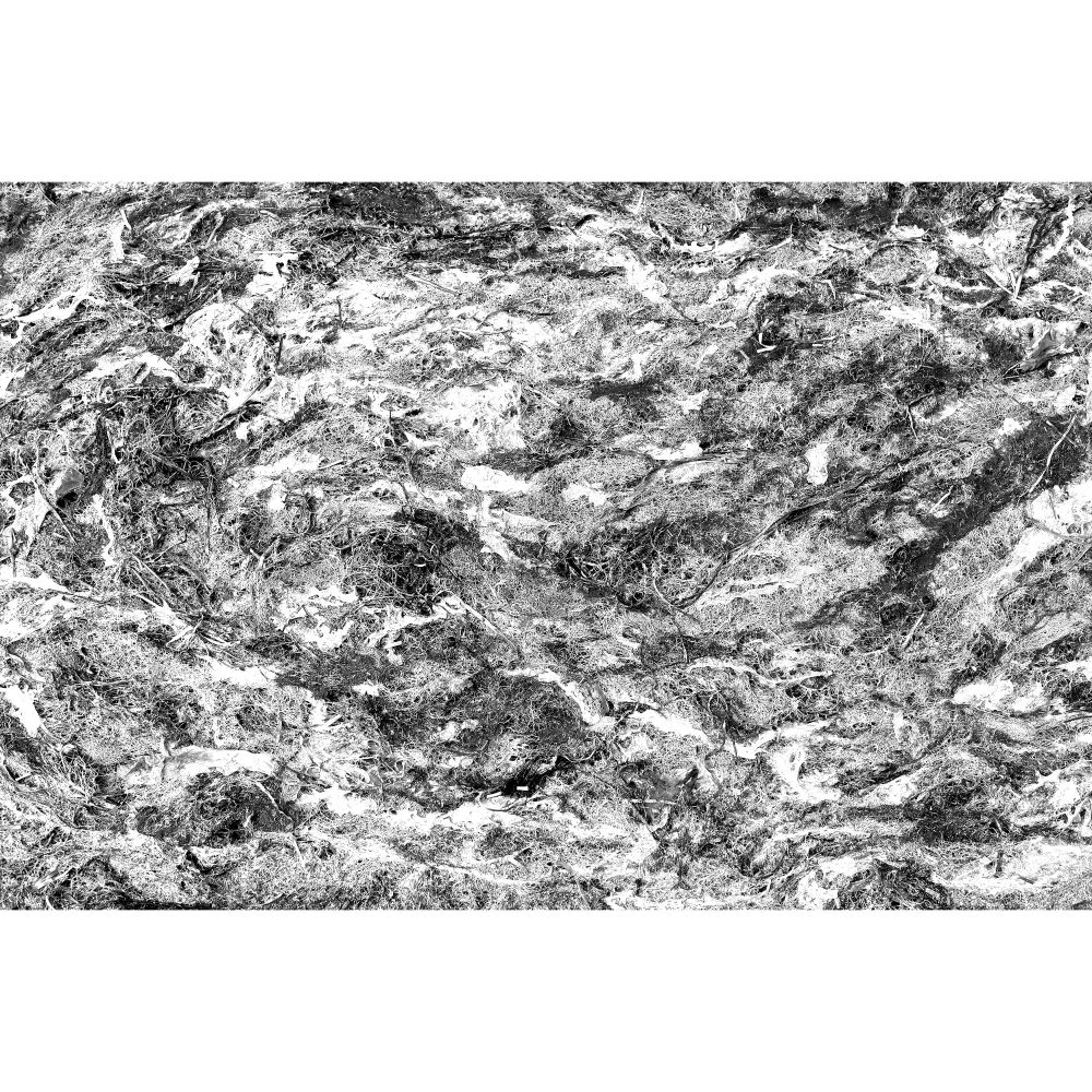 Im Winter und Frühjahr bei Sturm angespülte Algen, zu einem von Sonne und Wind getrockneten dichten Teppich verfilzt. Schwarzweiß.

© Torsten Grieger