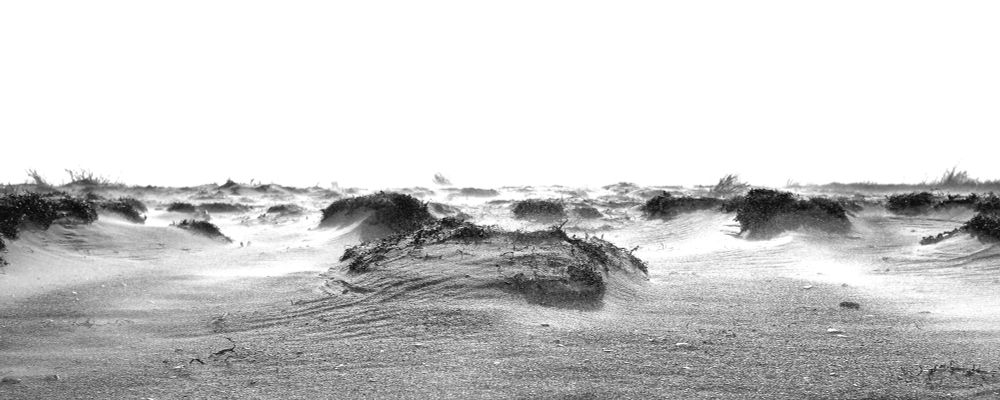Wind pfeift über den Strand an der Ostküste der dänischen Insel Læsø bei Bløden Hale. Schwarzweiß.

© Torsten Grieger