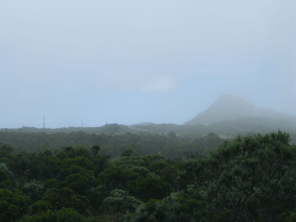 Aufziehender Nebel entlang der RF5 auf dem Rückweg vom Vulkan.

© Torsten Grieger