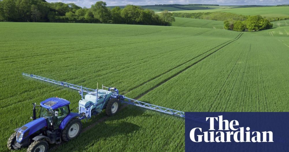 Revealed: Far higher pesticide residues allowed on food since Brexit