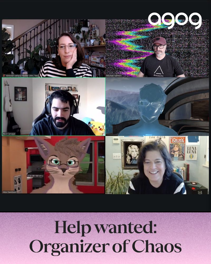 Help wanted: Organizer of Chaos [zoom screenshot with participants using a variety of AR filters and background effects]