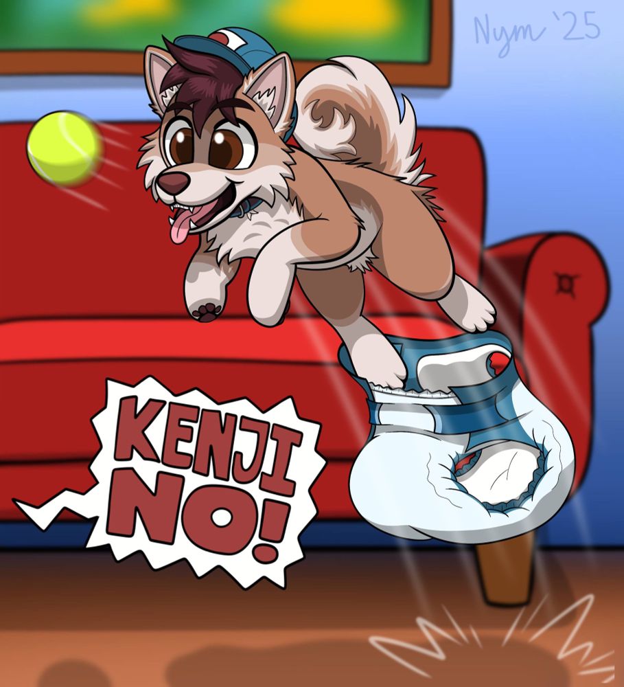 Kenji, a Japanese Akita Inu puppy, leaping out of his diaper while chasing a ball in a living room setting.